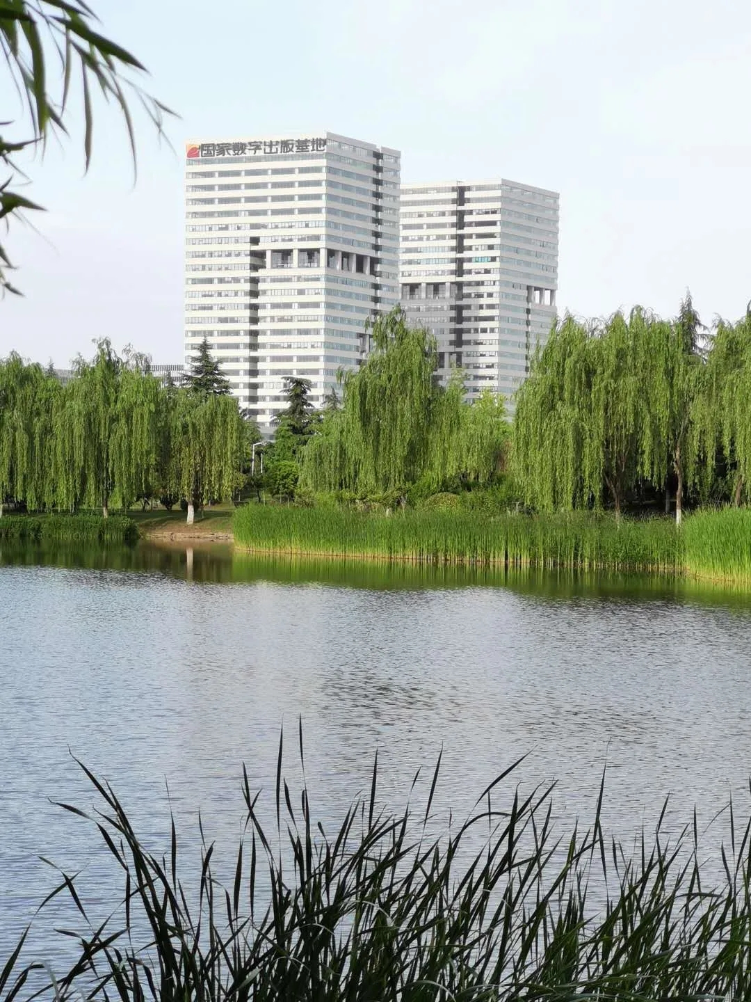 紅五月,西馳電氣逆流而上,逆勢(shì)上揚(yáng)(圖2) 紅五月,西馳電氣逆流而上,逆勢(shì)上揚(yáng)(圖2)